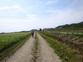  Wanderweg entlang der Donauuferbahn 