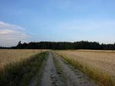   Blick auf die Wanderroute auf dem Horner Weg 
