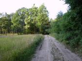  Blick auf die Wanderstrecke 