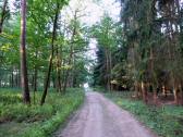  Blick auf die Wanderstrecke 