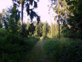 Blick auf die Wanderstrecke 