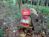  Wegmarkierung des Wald- Weinviertel-Weg 663 
