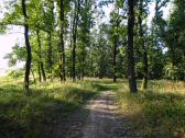  Blick auf die Wanderstrecke 