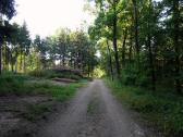  Blick auf die Wanderroute zur Waldkapelle 