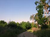  Blick auf die Wanderstrecke 