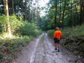  Blick auf die Wanderstrecke 
