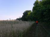  Wanderweg nach Maria Dreieichen 