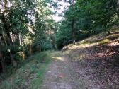  Blick auf die Wanderstrecke 