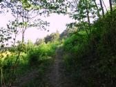 Blick auf die Wanderstrecke 