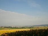  schner Fernblick nach Horn 
