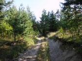  Blick auf die Wanderstrecke 