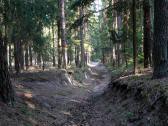  bergab durch den Silbergraben 