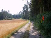  Blick auf die Wanderstrecke 