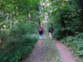  Blick auf die Wanderstrecke 