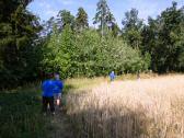  Blick auf die Wanderstrecke 