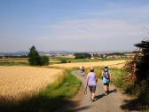  Blick auf die Wanderstrecke 
