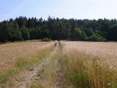  Blick auf die Wanderstrecke 
