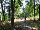  Wanderroute zur groen Labestelle 