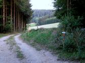  Wanderweg beim Dorfstattkreuz 