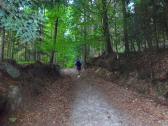  Blick auf die Wanderroute 