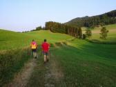  Blick auf die Wanderroute 