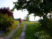  Wanderroute beim Gehft Holzer 
