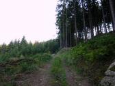  Wanderroute nach Bogenreith 