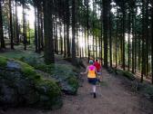  Wanderroute nach Bogenreith 