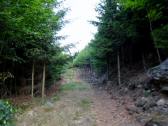  Wanderweg zur Burgsteinmauer 