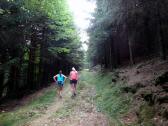  Wanderweg zur Burgsteinmauer 