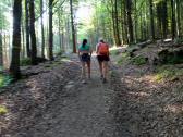  Wanderweg zur Burgsteinmauer 