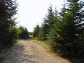  Blick auf die Wanderstrecke 