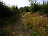  Blick auf die Wanderstrecke 