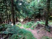  Blick auf die Wanderstrecke 