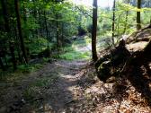  Blick auf die Wanderstrecke 