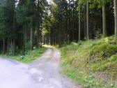 Blick auf die Wanderstrecke Richtung Herzstein 