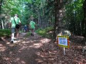  Wanderroute zum Herzstein 