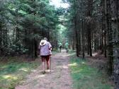  Blick auf die Wanderstrecke 