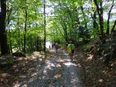  Blick auf die Wanderstrecke 