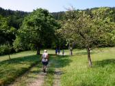  Blick auf die Wanderstrecke nach Obergrub 