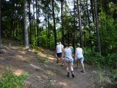  Blick auf die Wanderstrecke zur Waldkapelle 