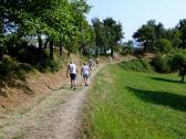  Blick auf die Wanderstrecke bei Untergrub 