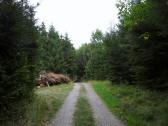  Wanderroute durch den Wald Weidholz 