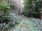  Wanderroute zur Gehftgruppe Holzhuseln 