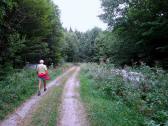  Wanderroute durch den Mooswald 