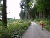 Blick auf die Wanderroute 