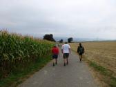  Blick auf die Wanderstrecke 