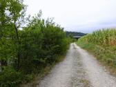  Wanderweg entlang der Ybbs 