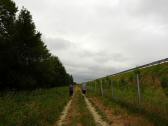  Wanderweg entlang der A1 
