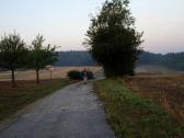  Blick auf die Wanderroute auf dem Steinberg 